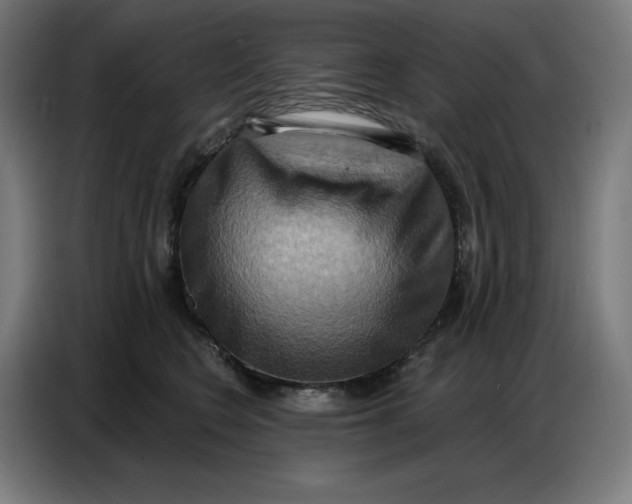 X0000086750566200705041430