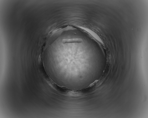 X0000086750568200705041430