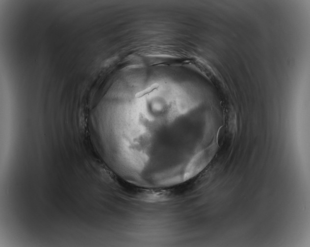 X0000086750569200705041430