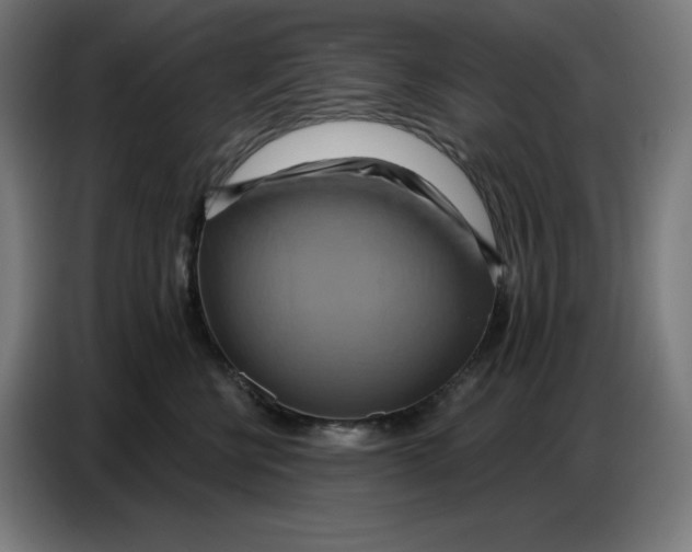 X0000086750570200705041430