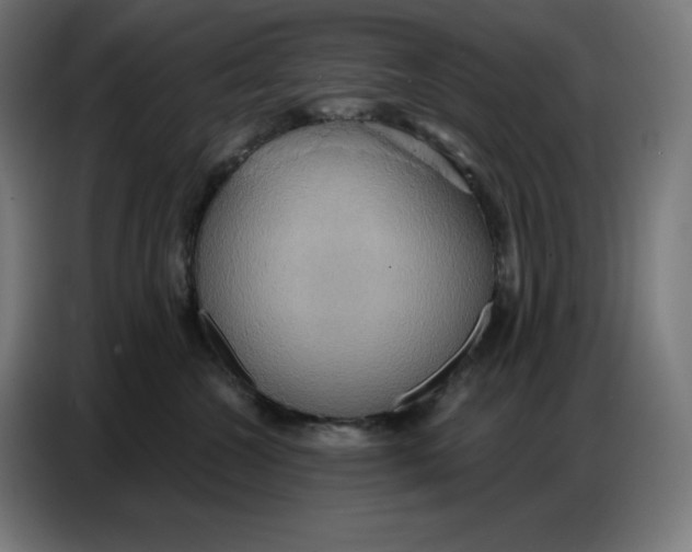 X0000086750572200705041430