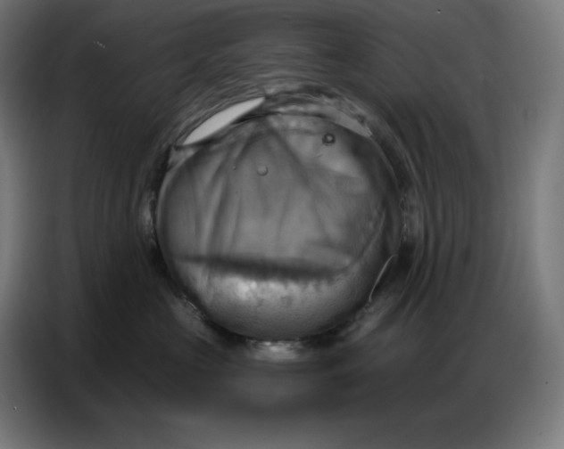 X0000086750573200705041430