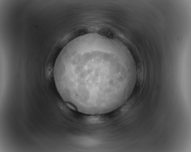 X0000086750574200705041430