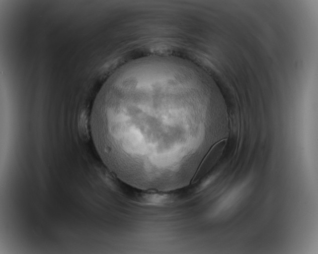 X0000086750575200705041430