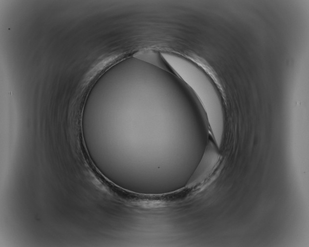 X0000086750577200705041429