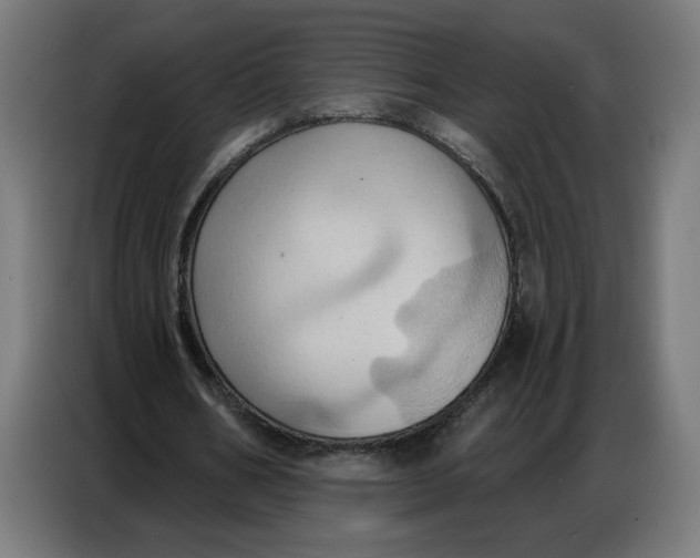 X0000086750578200705041429