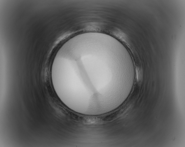 X0000086750579200705041429