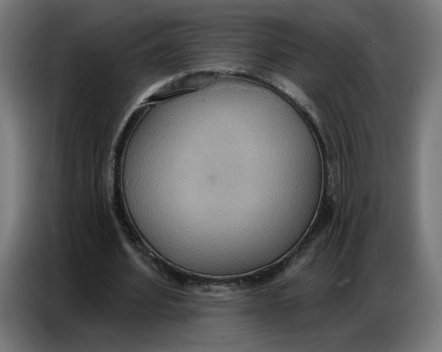 X0000086750580200705041429