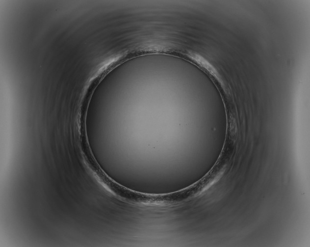 X0000086750581200705041429