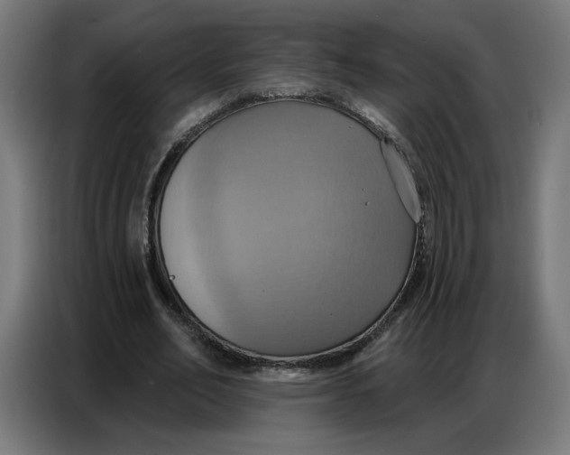 X0000086750582200705041429