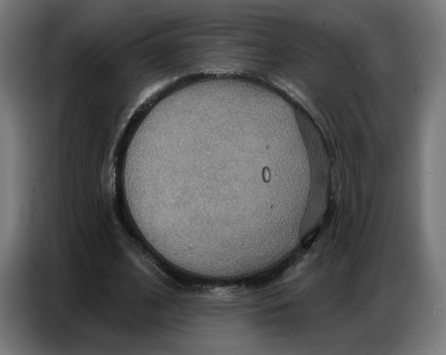 X0000086750584200705041429