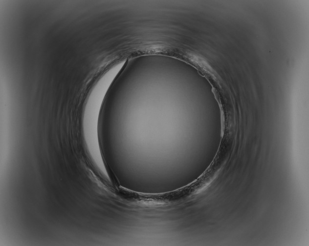 X0000086750585200705041429