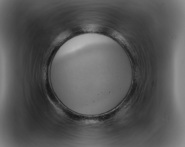 X0000086750586200705041429