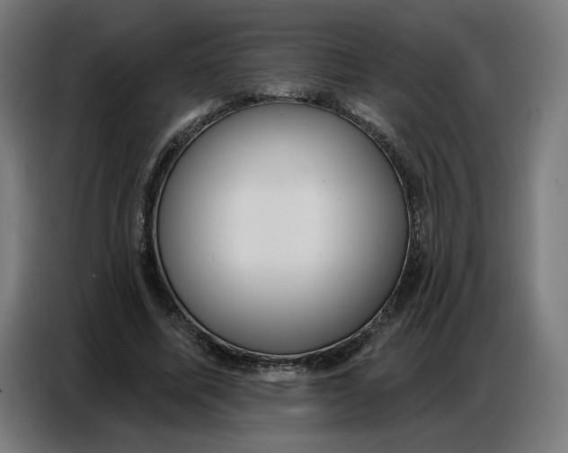 X0000086750587200705041429