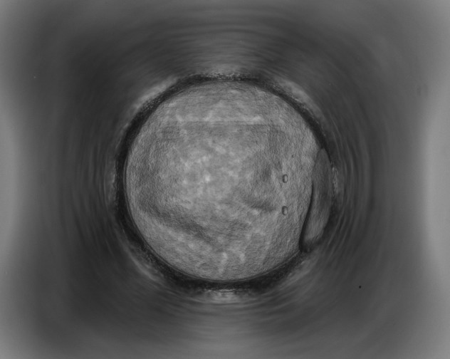 X0000086750588200705041429