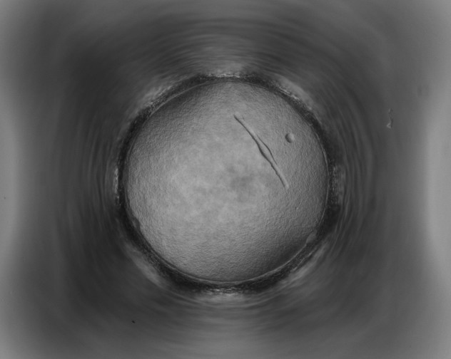 X0000086750589200705041429