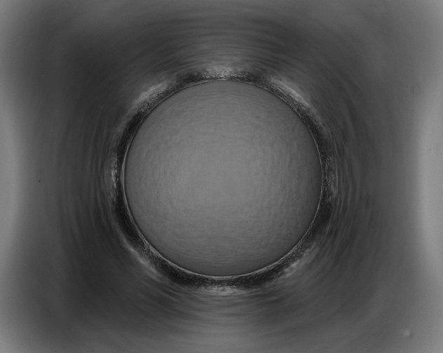 X0000086750590200705041429