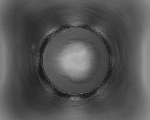 X0000086750591200705041429