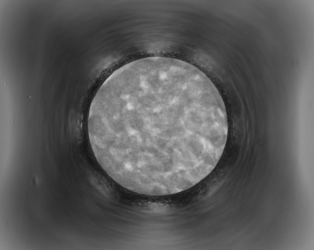 X0000086750592200705041429