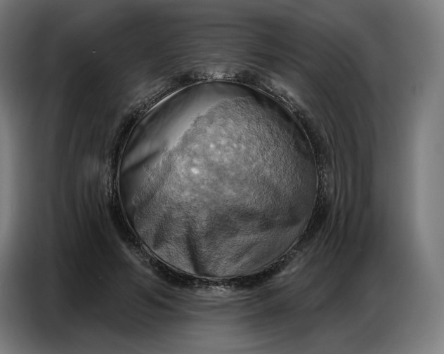 X0000086750594200705041429