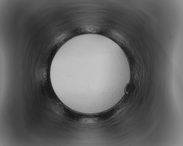 X0000086750595200705041429