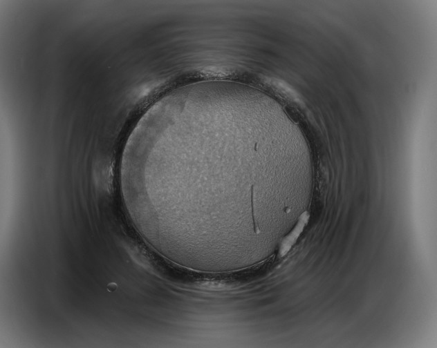 X0000086750596200705041429