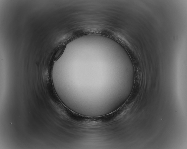 X0000086750597200705041429