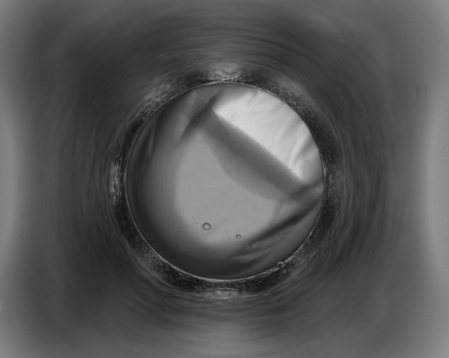 X0000086750598200705041429