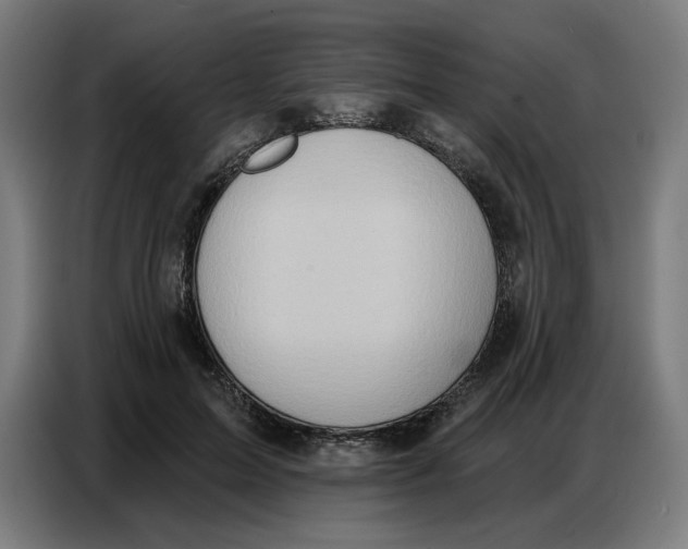 X0000086750599200705041429