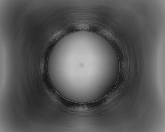 X0000086750600200705041429