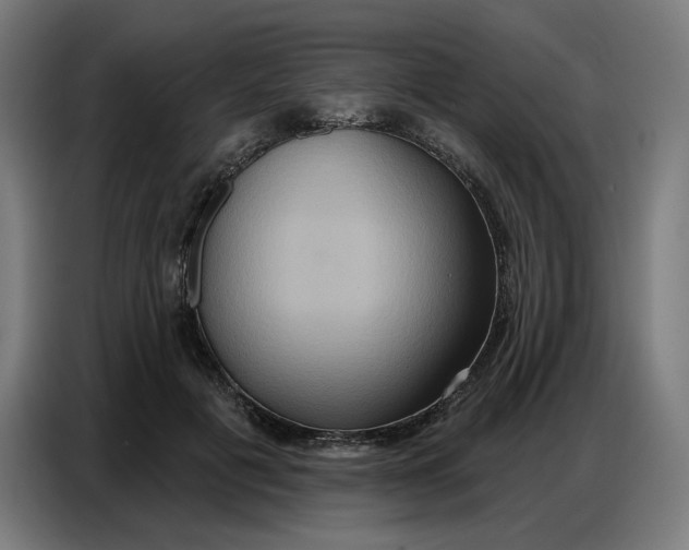 X0000086750601200705041429