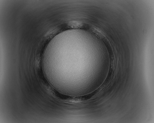 X0000086750604200705041429