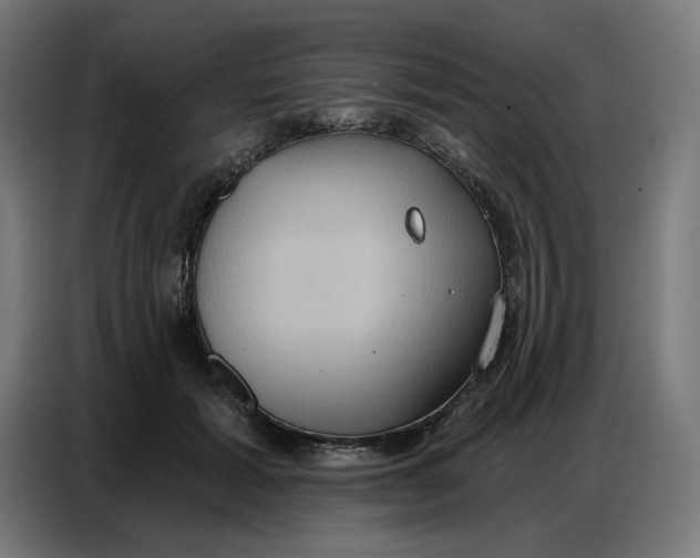 X0000086750605200705041429