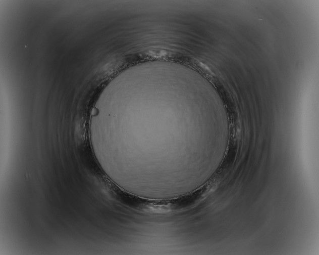 X0000086750606200705041429