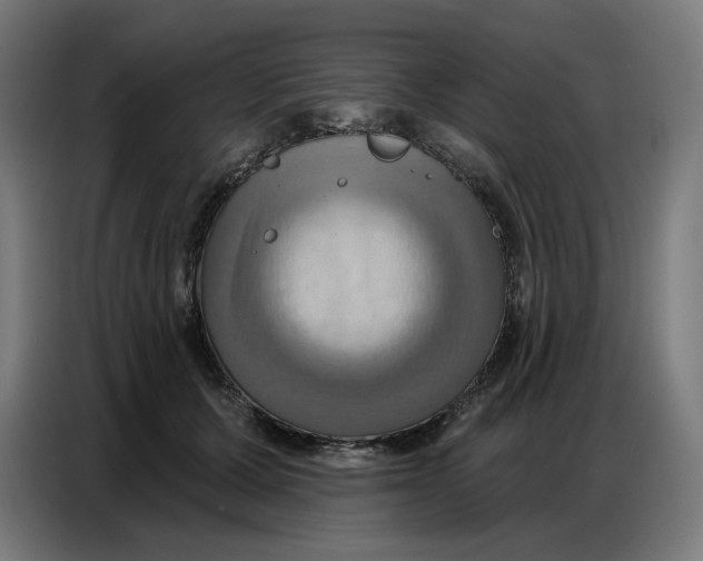 X0000086750607200705041429