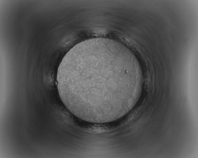 X0000086750608200705041429