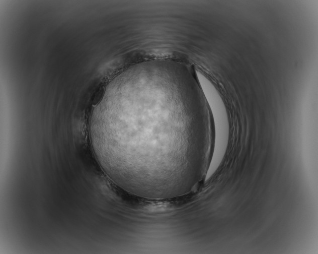 X0000086750609200705041429