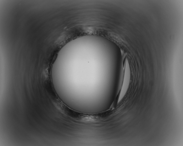 X0000086750611200705041429