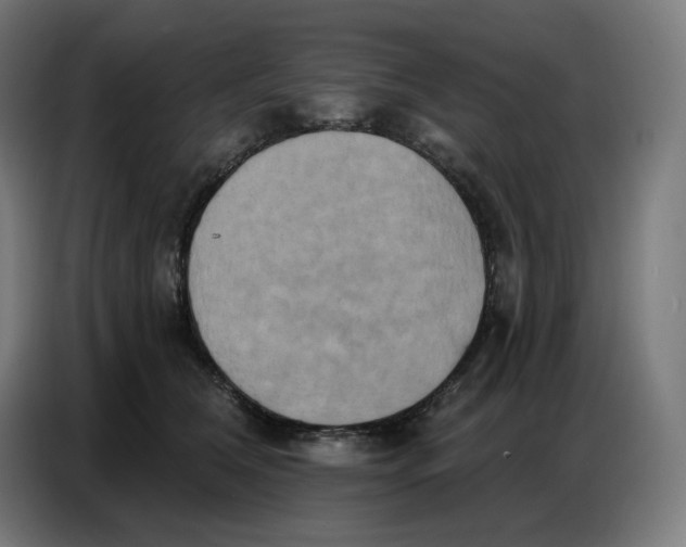 X0000086750612200705041429