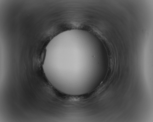 X0000086750613200705041429