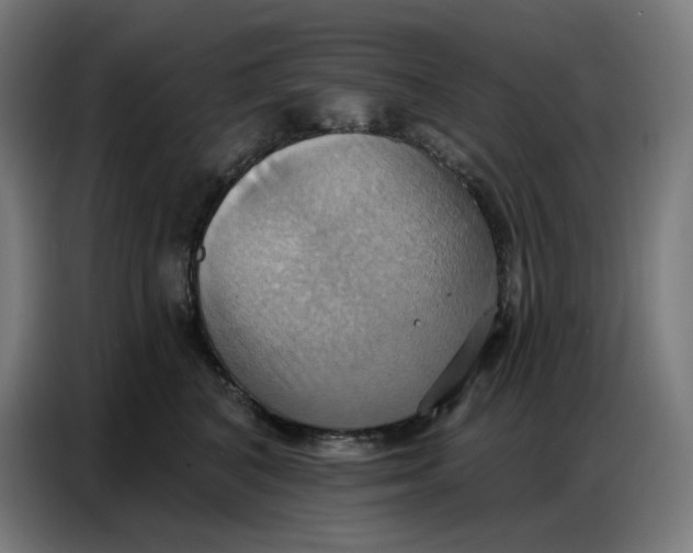 X0000086750616200705041429