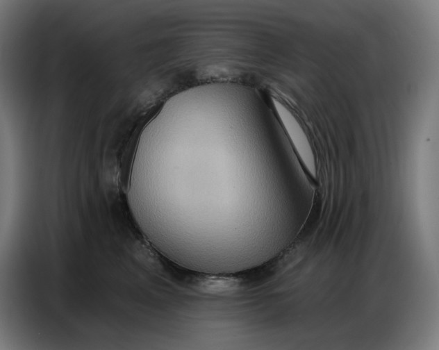 X0000086750617200705041429