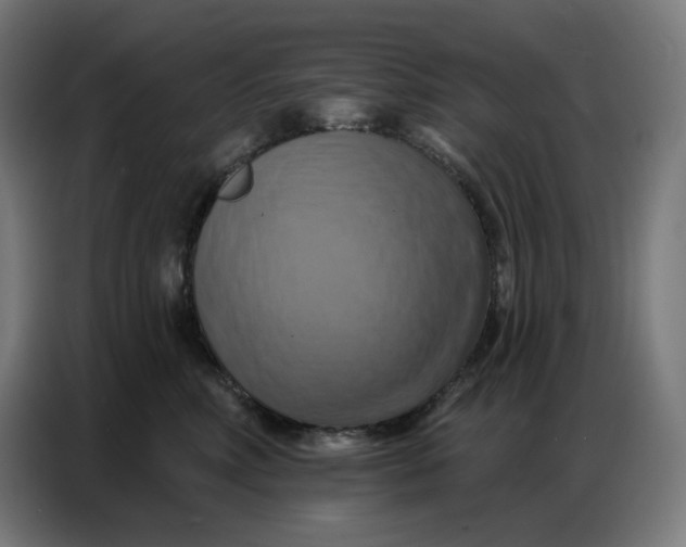 X0000086750618200705041429