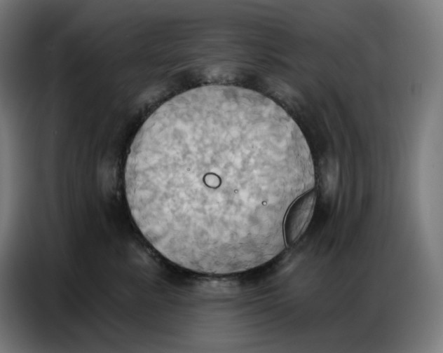 X0000086750619200705041429