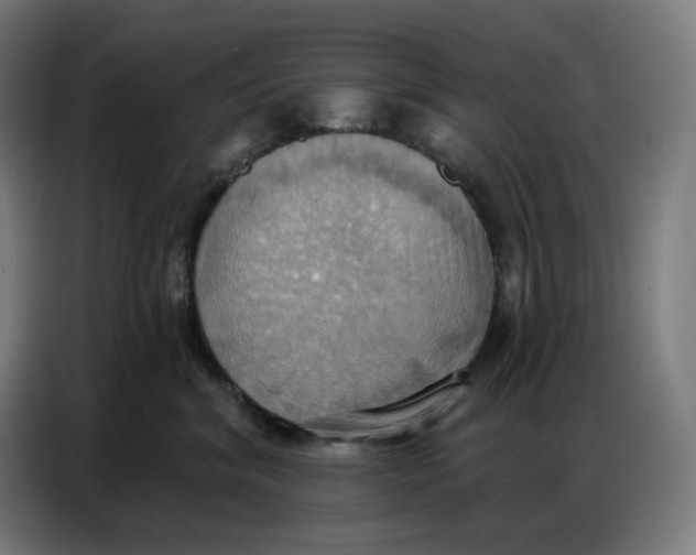 X0000086750620200705041428