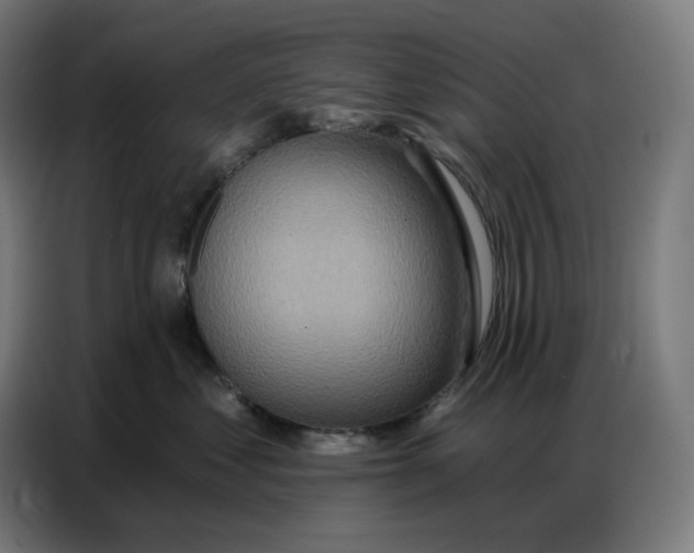 X0000086750621200705041428