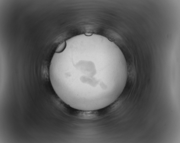 X0000086750622200705041428