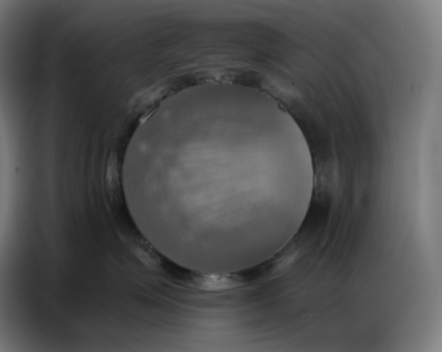 X0000086750623200705041428