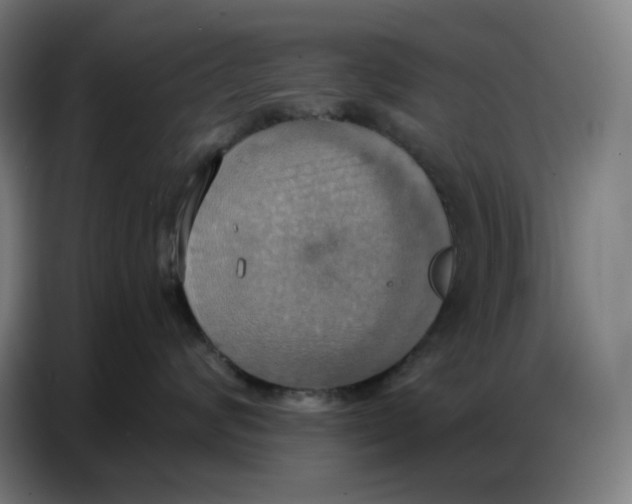 X0000086750624200705041428