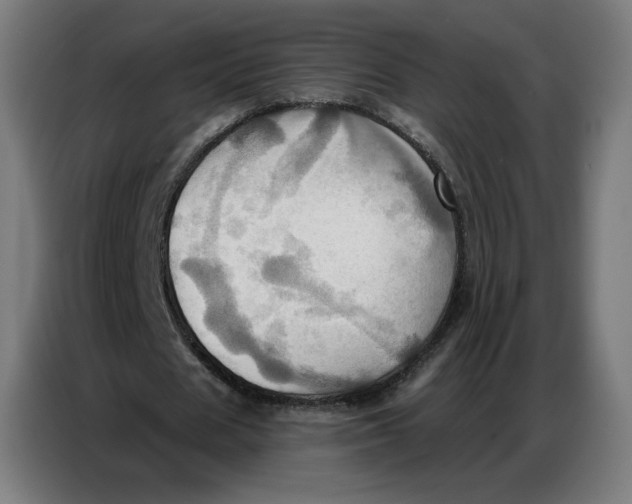 X0000086750625200705041428